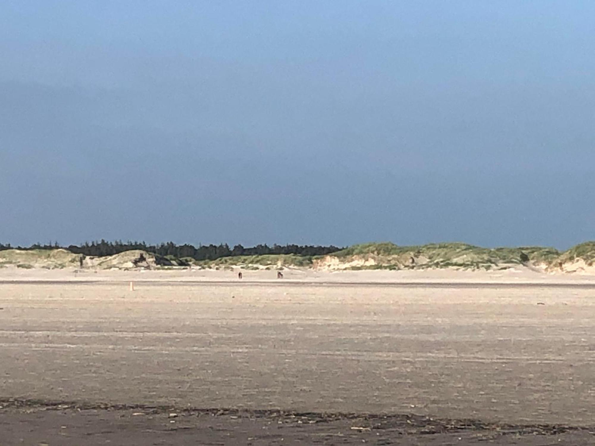 Haubarg Alte Strandvogtei Westerhever Exterior photo